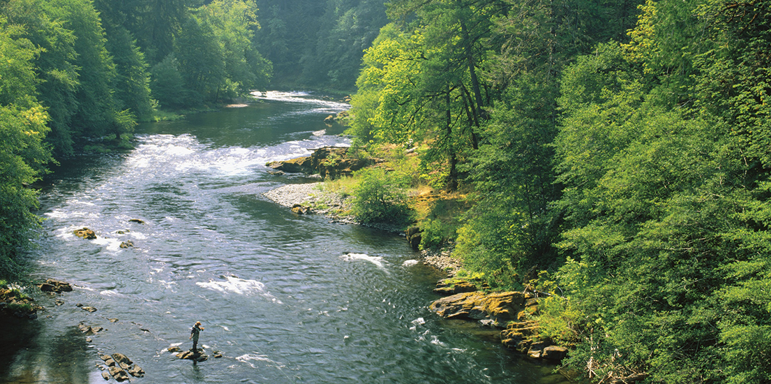 Effort Begins to Save a Stretch of a Legendary Oregon Stream Western