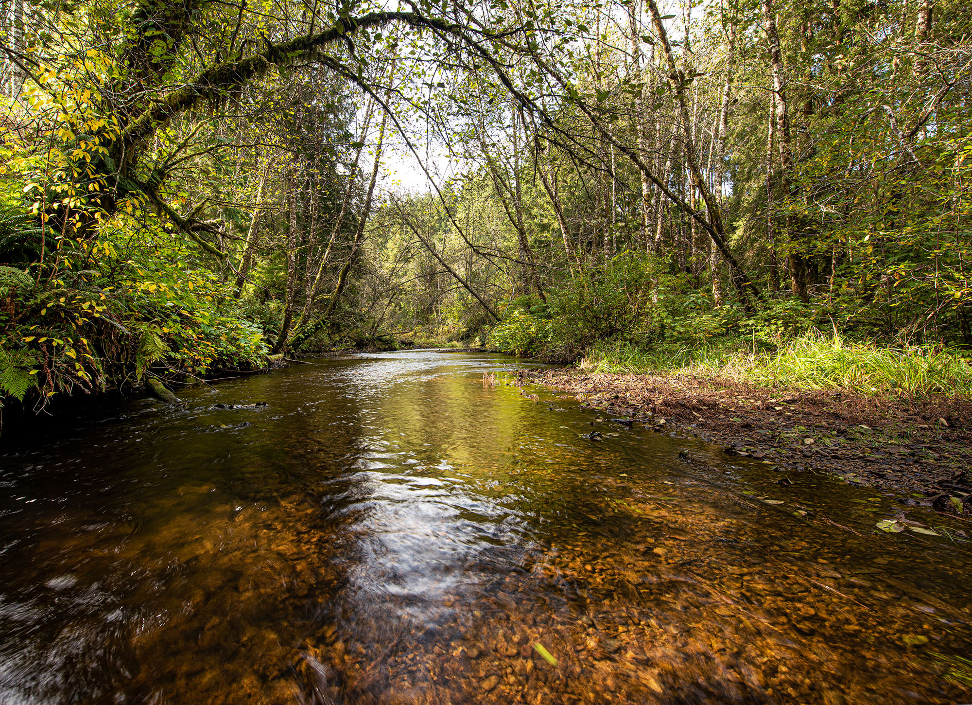 Bear River, Photo by Ellen Bishop