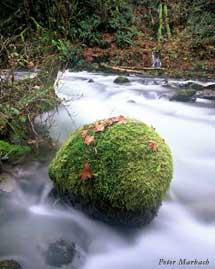 Boulder Creek, OR, Photo by Peter Marbach