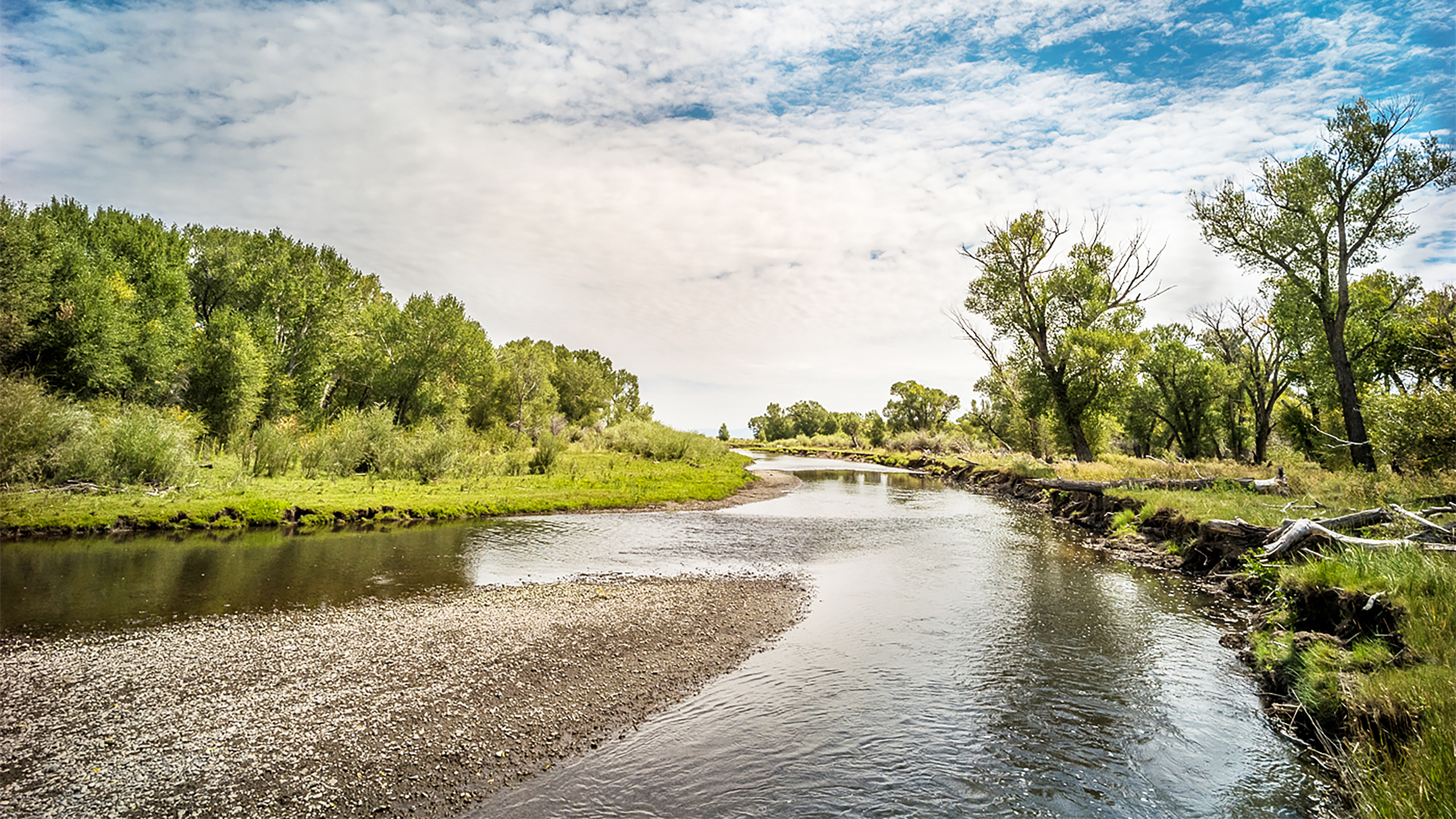 Conejos River, Photo by Russ Schnitzer