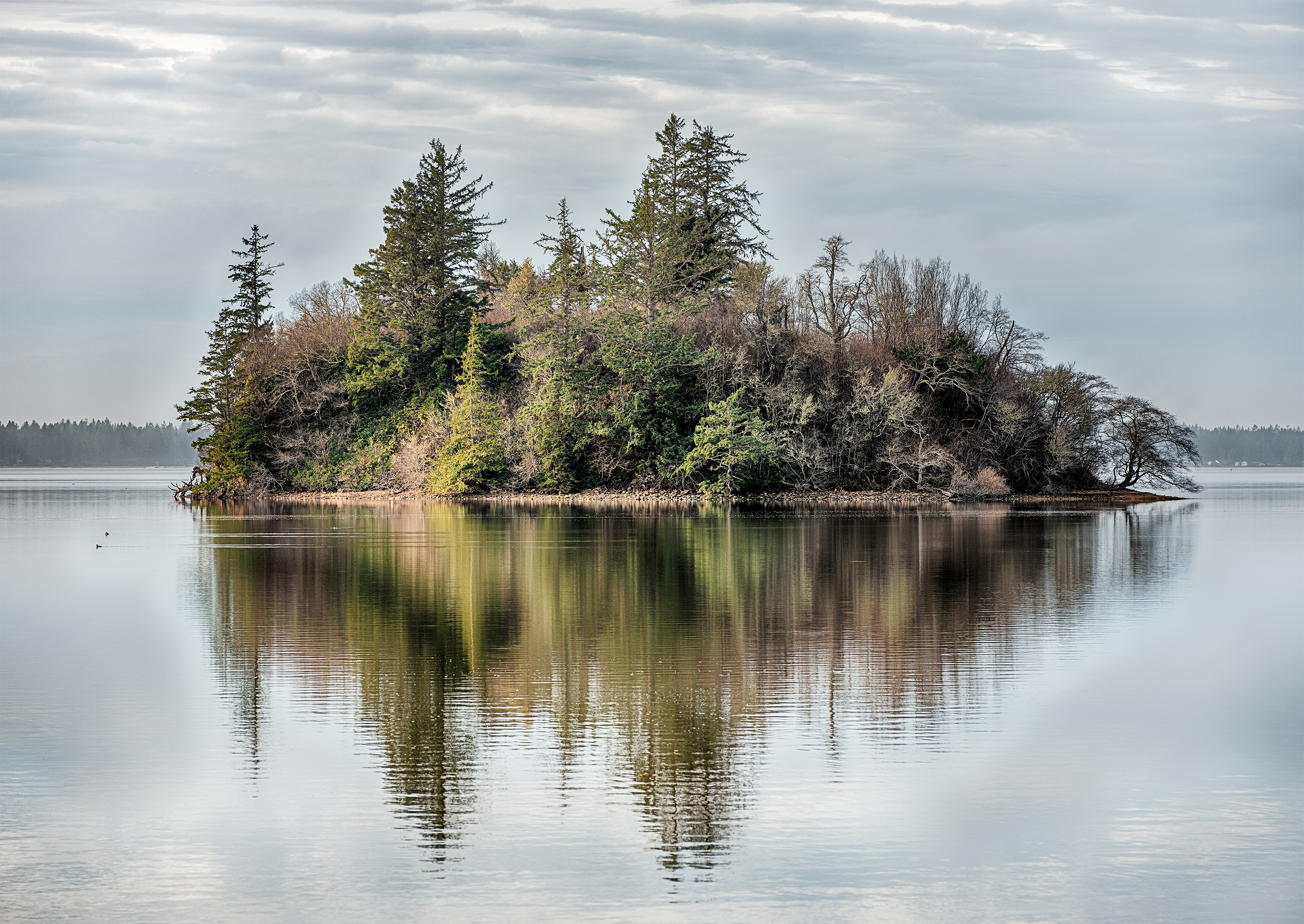 Island in Willapa Bay