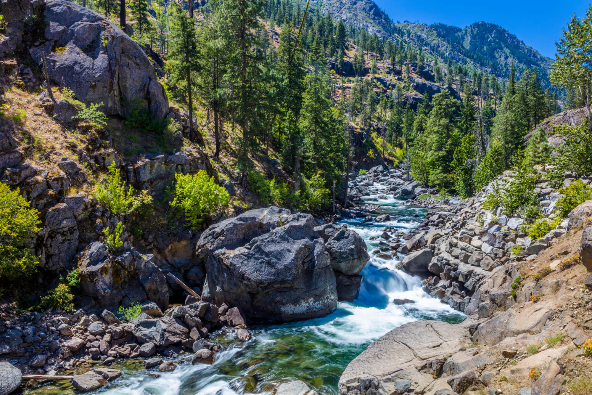 Icicle Creek - Western Rivers Conservancy