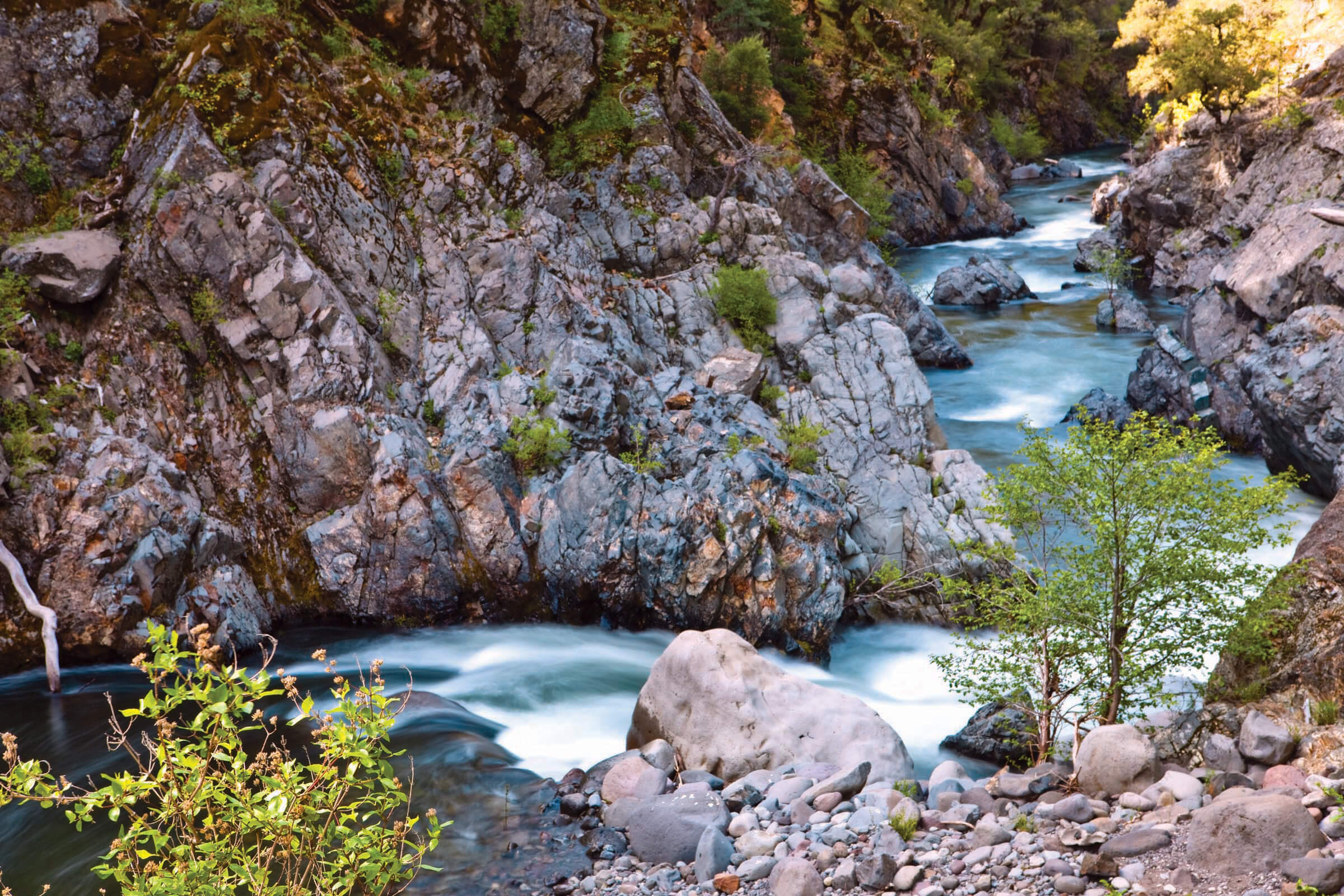 Deer Creek Western Rivers Conservancy