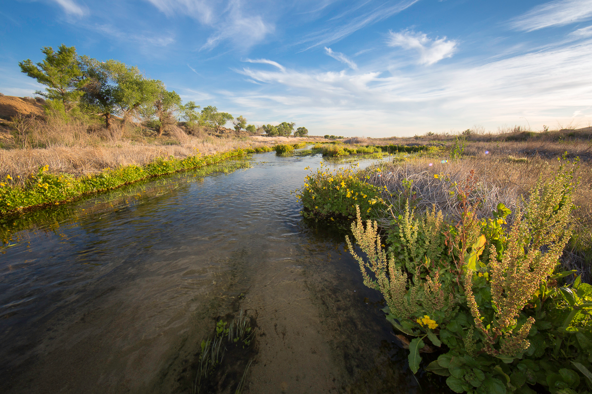 Mojave River Western Rivers Conservancy