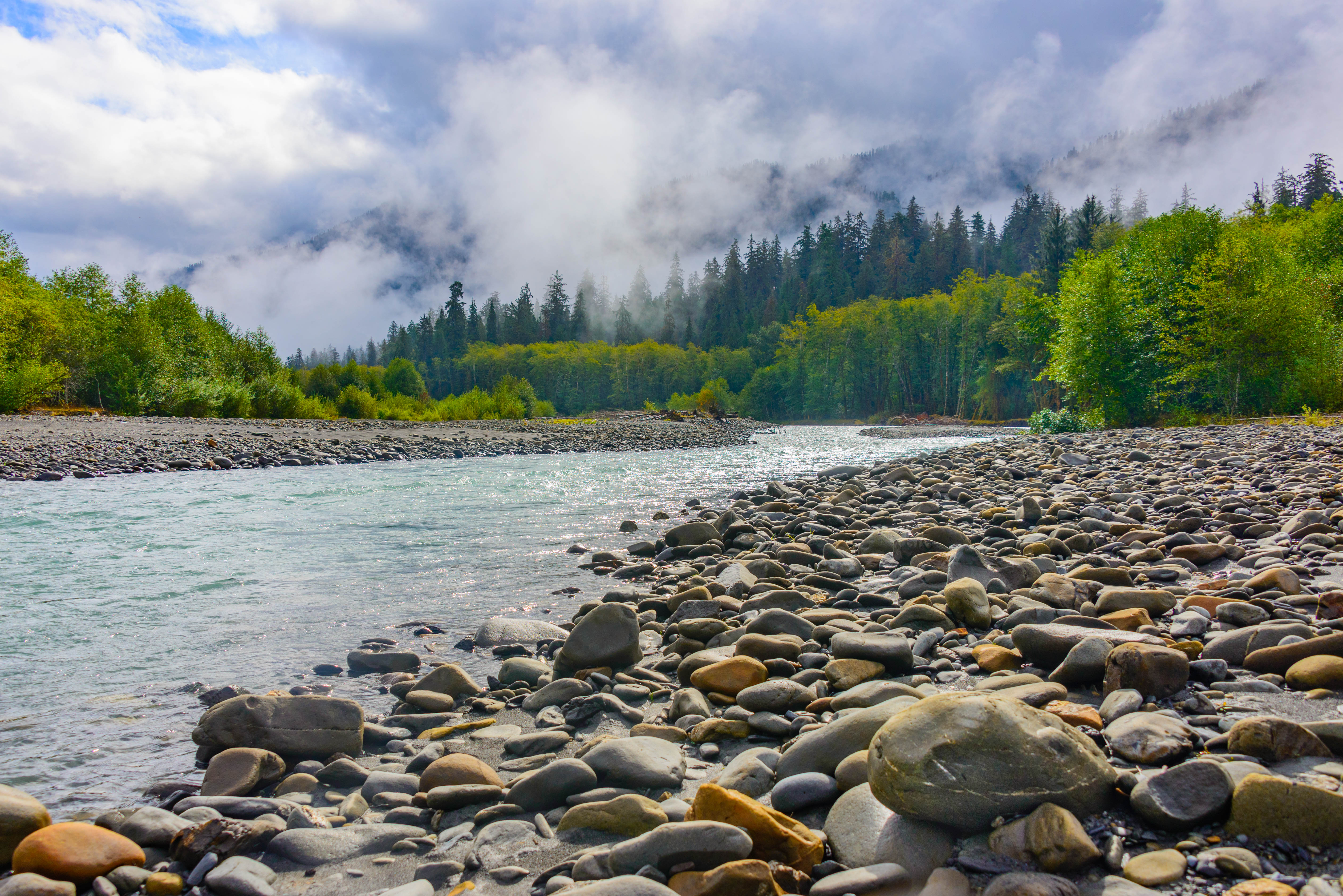 9+ Queets River Flow